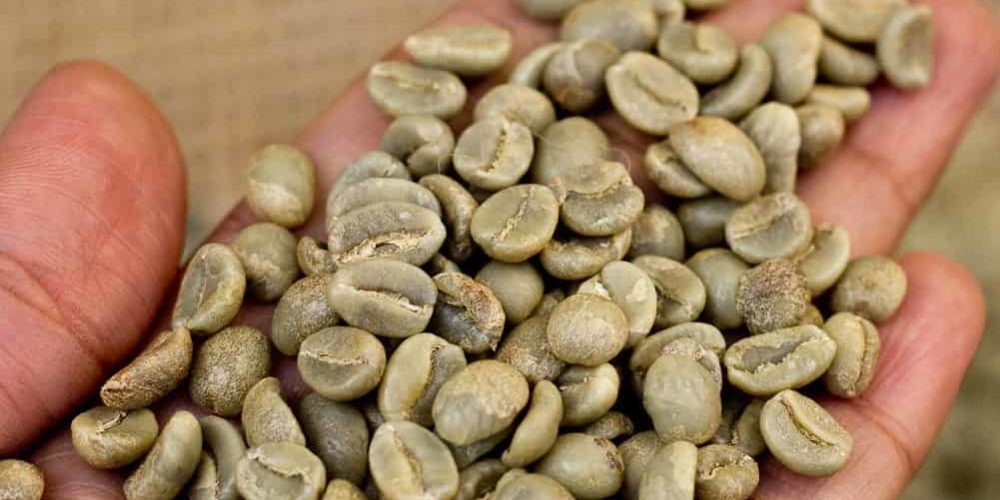 green coffee beans