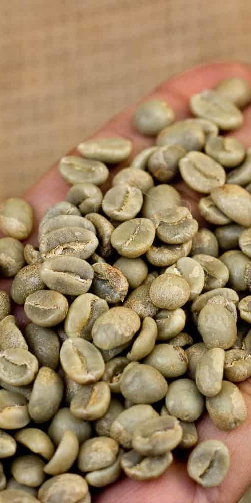 green coffee beans