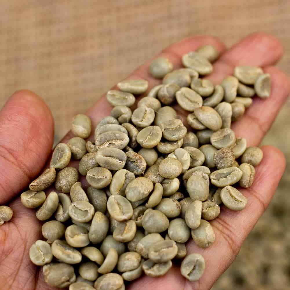 What’s The Difference Between Arabica And Robusta Coffee?