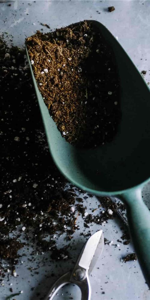 how to compost with coffee