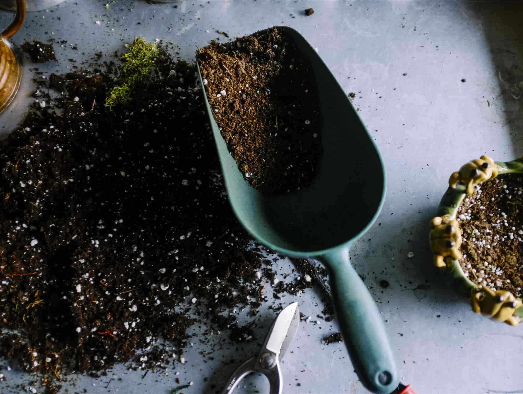 Composting With Coffee Grounds