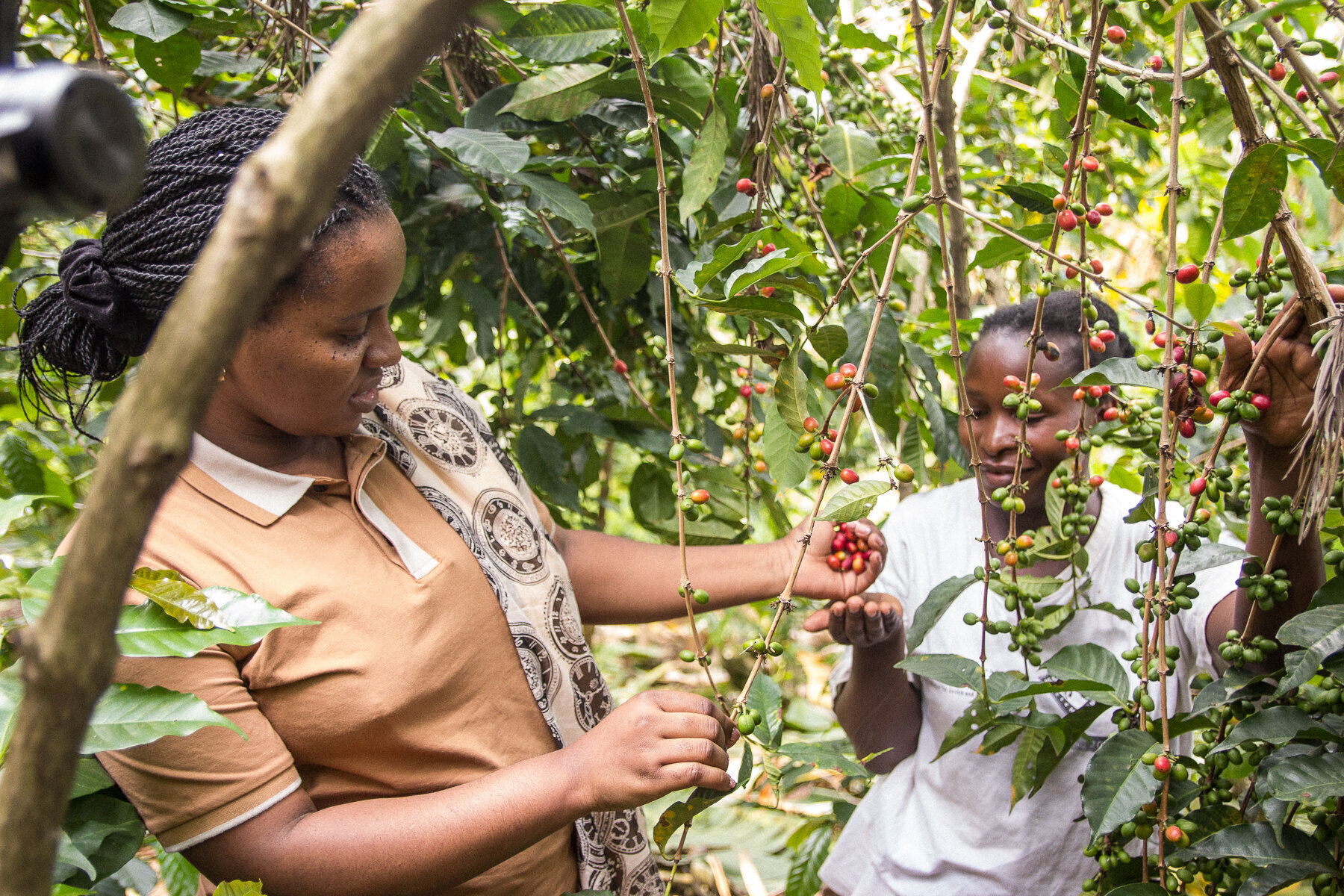 Linda Mugaruka, left, Chief Quality Officer and Agronomist for Mighty Peace Coffee