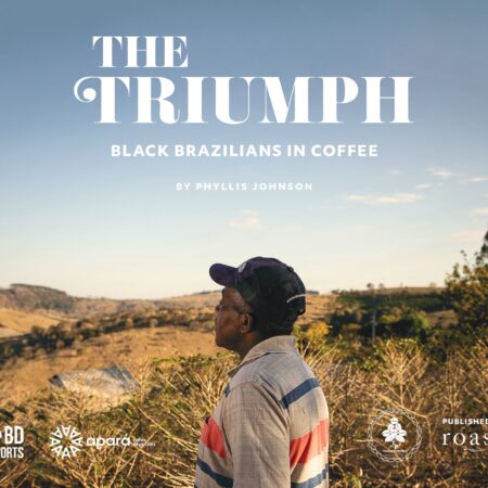 Cover of the book The Triumph with the side profile of a farmer looking out to a farm