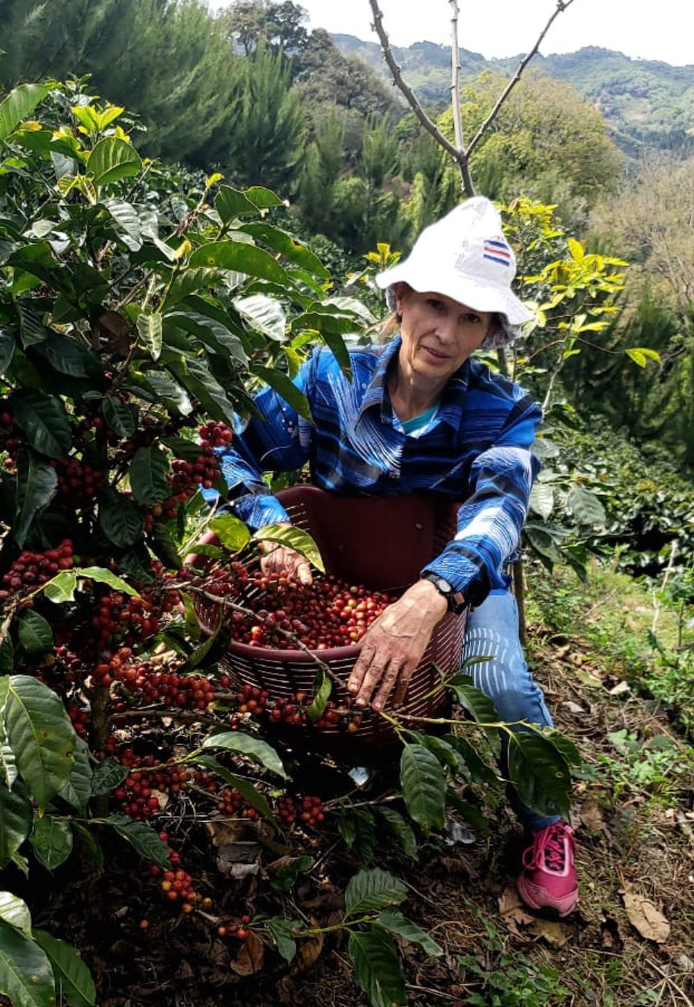 Finca Amalieth Natural Driftaway Coffee