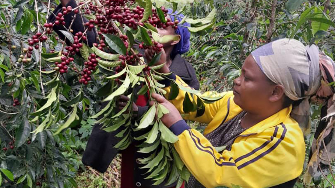 WhatsApp-Image-2024-06-18-at-07.40.39-2