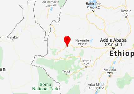 guji ethiopia